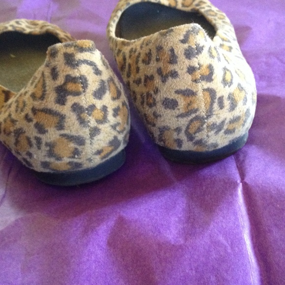 BC flats - Picture 3 of 4