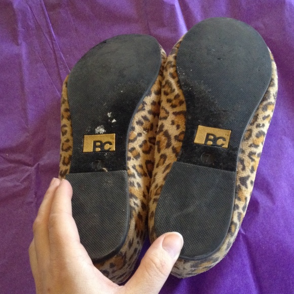 BC flats - Picture 4 of 4