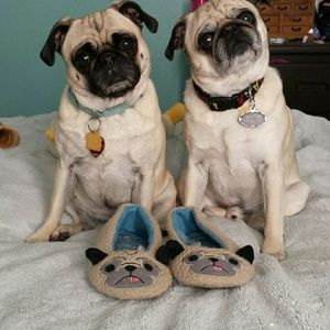 PUG SLIPPERS