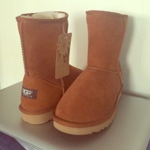 Chestnut Uggs