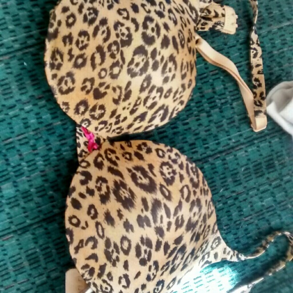 Cheatah push up bra