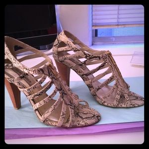 Steve Madden Zipper Snakeskin Sandals
