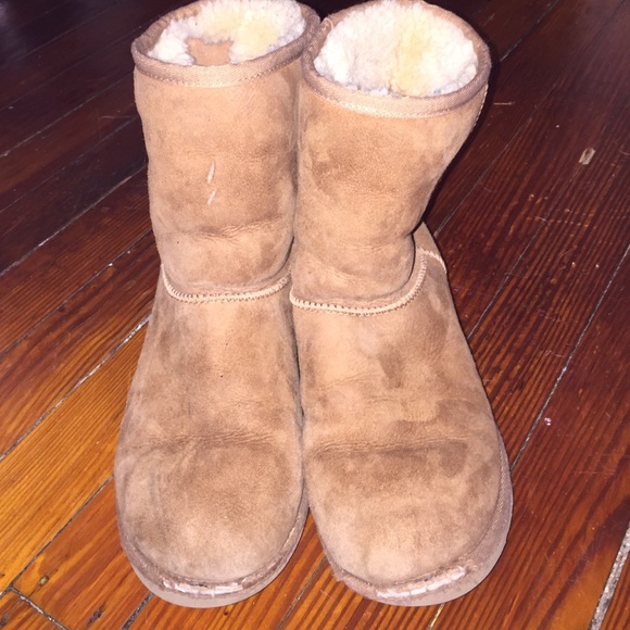 Chestnut uggs