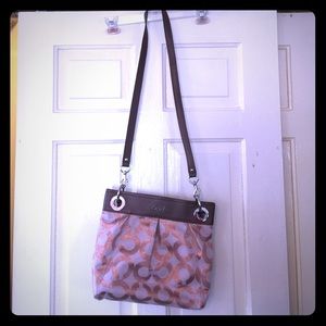 Brown and Bronze Coach Purse