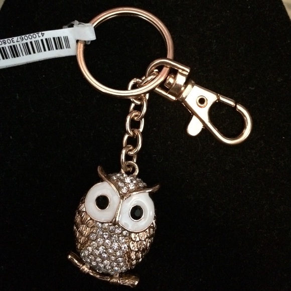 Owl key chain
