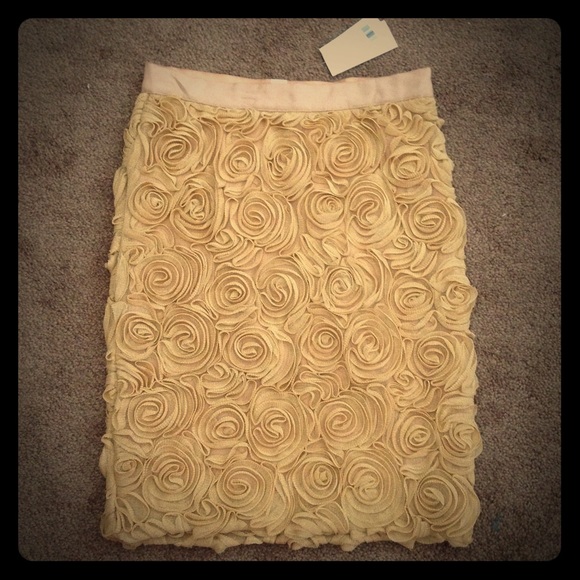 NWT ✨Banana republic gold rosette skirt size 00P