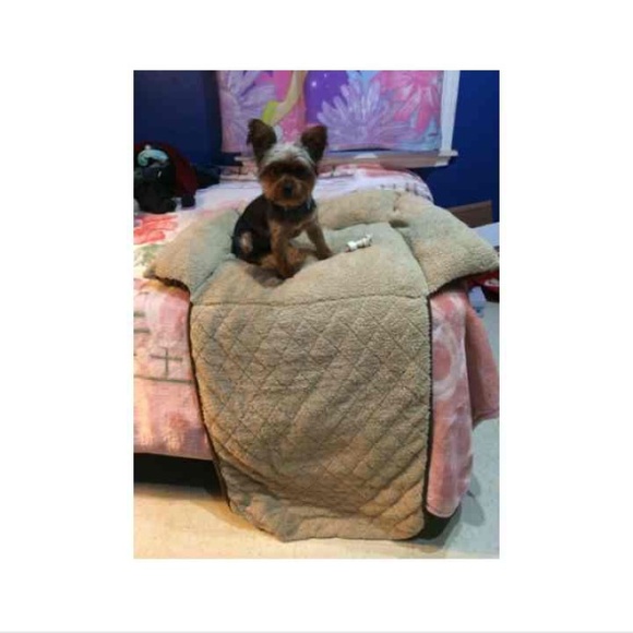 Dog bed