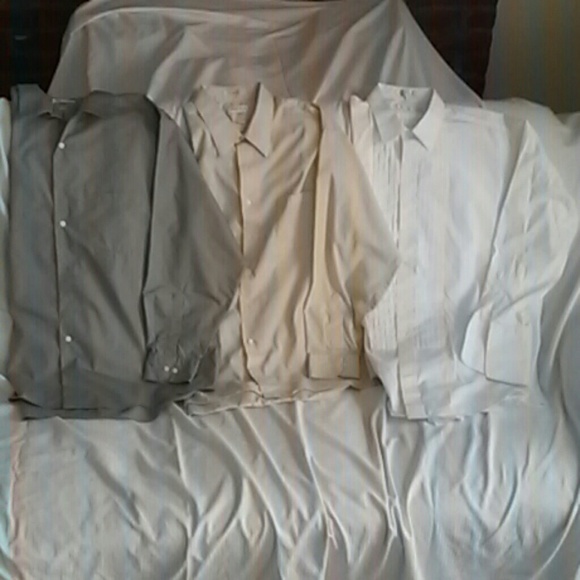 Men's polo shirts