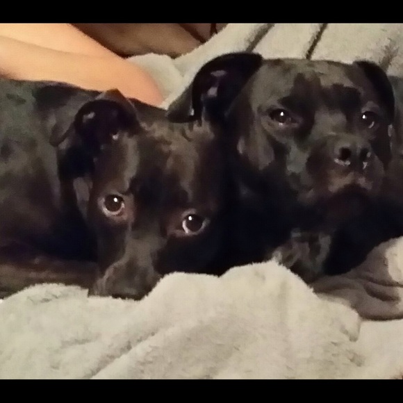 Meet 💗Suggested User💗 and (hopefully) new PPF 😉 - Picture 2 of 3