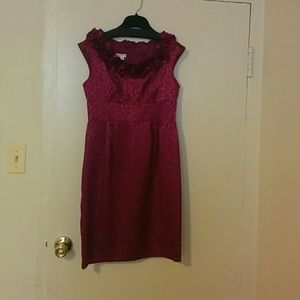Deep Pink Knee Length Dress