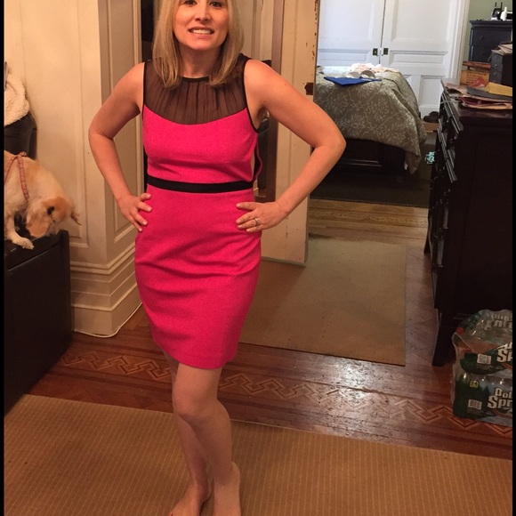 Size 8 New with stages Cynthia Steffe Dress - Picture 2 of 4