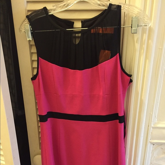 Size 8 New with stages Cynthia Steffe Dress - Picture 3 of 4