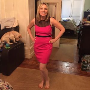 Size 8 New with stages Cynthia Steffe Dress