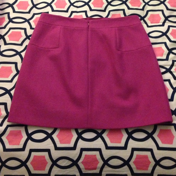 JCREW Fall/Winter Wool Skirt - Picture 2 of 3