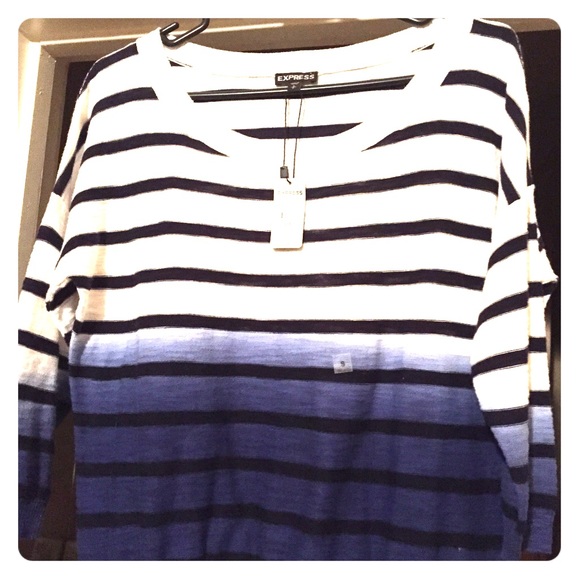 NWT Express sweater