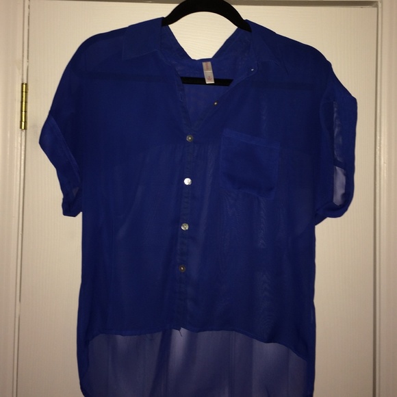 Royal Blue Collar Sheer Top