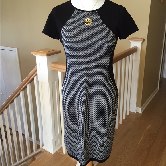 Ann Taylor Graphic Sweater Dress NWOT