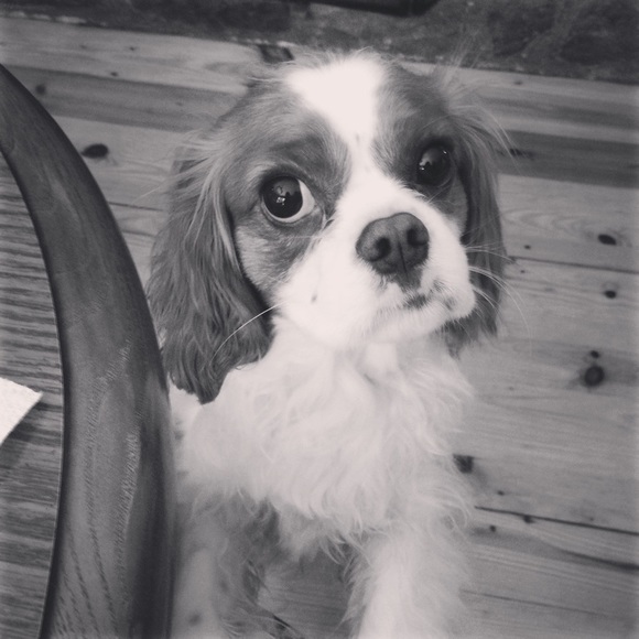 About My Closet! - Picture 3 of 7