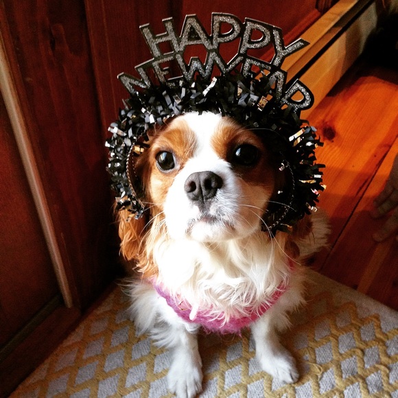 About My Closet! - Picture 2 of 7