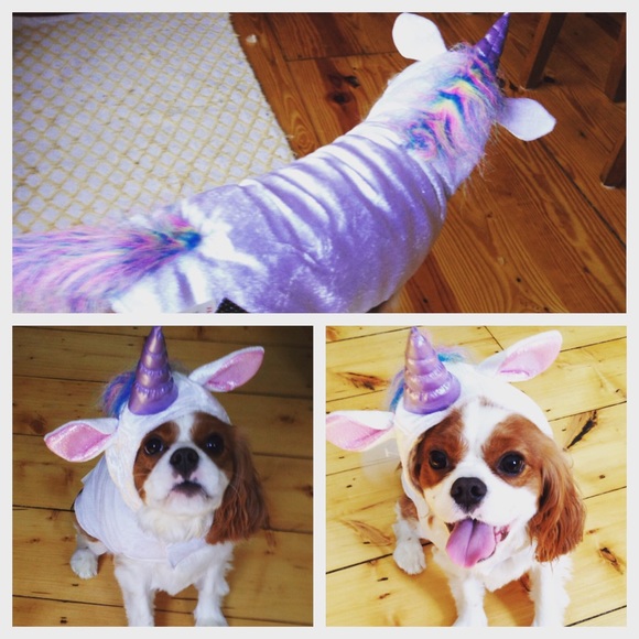 About My Closet! - Picture 4 of 7