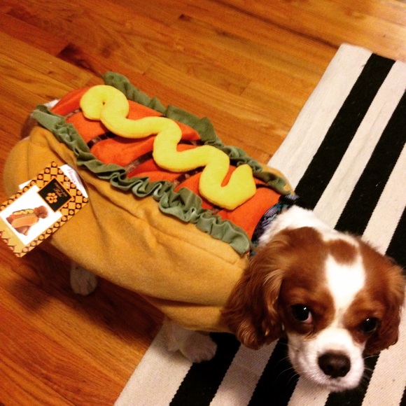 About My Closet! - Picture 5 of 7