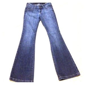 Express Fit and Flare Denim