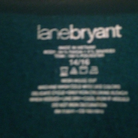 Lane Bryant - Picture 2 of 3