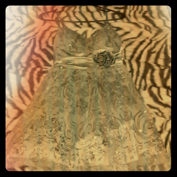 Spaghetti strap formal/party dress