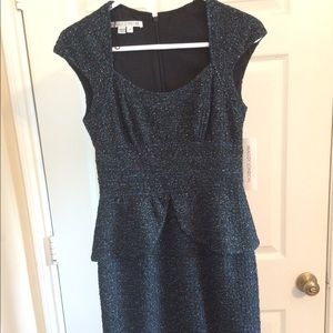 Stunning Maggy London cocktail dress!