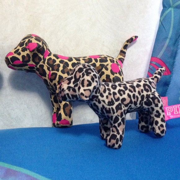 VS Dogs - Picture 3 of 4