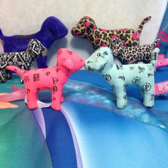 VS Dogs - Picture 4 of 4