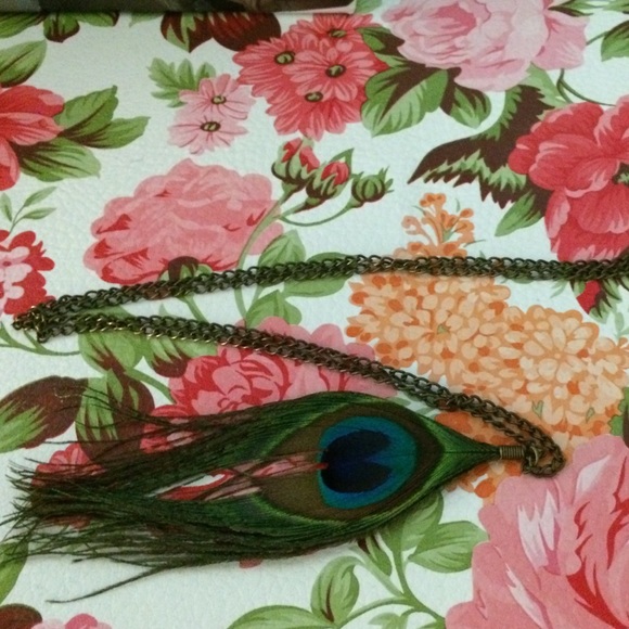 Peacock necklace on a bronze chain