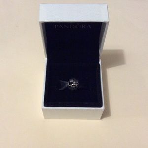Unworn Pandora Charm Autumn Bliss