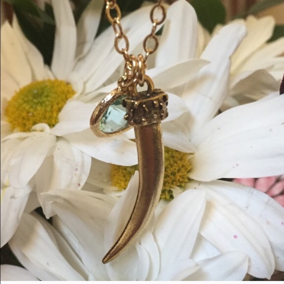 Jami Aqua Charm Tusk Pendant - Picture 2 of 3