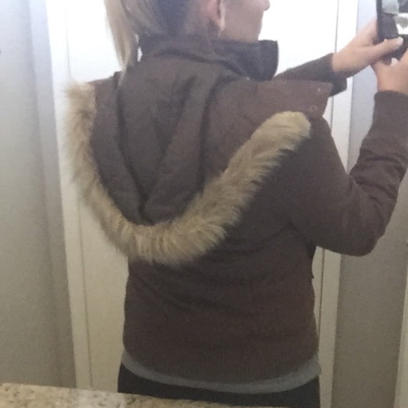 Roxy - Picture 4 of 4