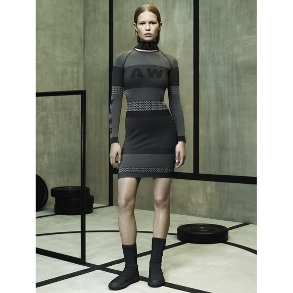 Alexander wang x hm dress