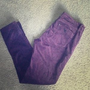 GUESS Purple Velvet Skinny pants