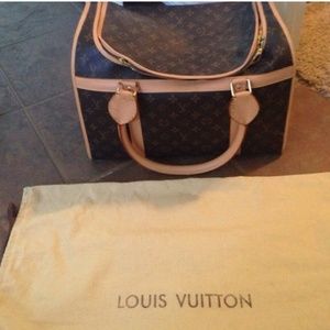 Louis Vuitton inspired dog bag!