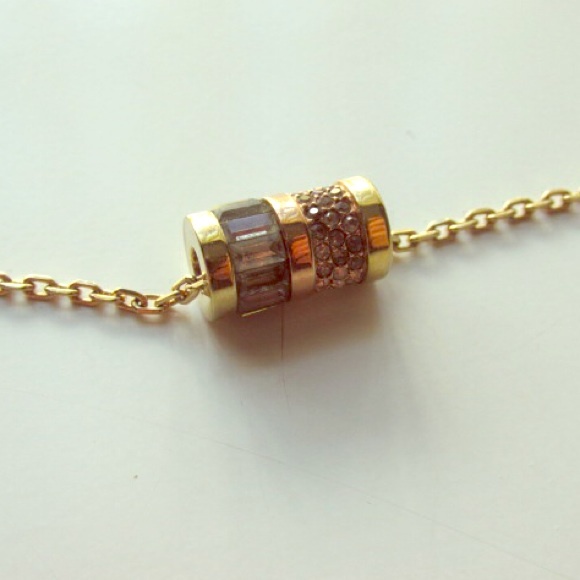 Michael Kors Necklace (Charm and Chain included)