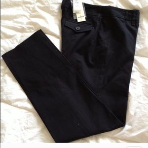 Ann Taylor Pants