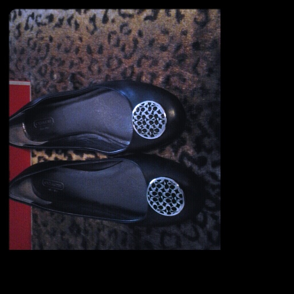Coach shoes