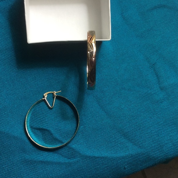 Earrings -hoops