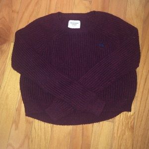 Burgundy A&F Cropped Sweater
