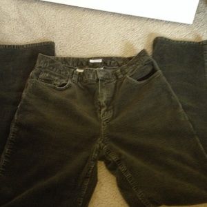 Olive Green Jones New York Sport Pants