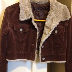 Brown Corduroy Crop Top Jacket