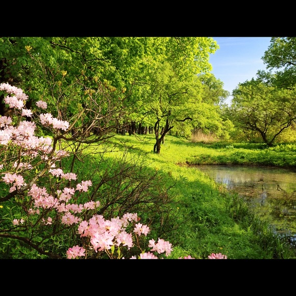 Spring is coming!!