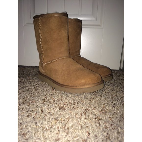 Chestnut uggs