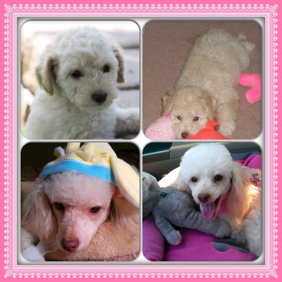 💐MEET YOUR SELLER/BUYER/BARGAIN HUNTER💐 - Picture 3 of 4