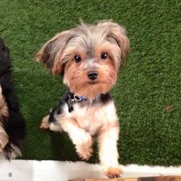 Hi! I'm Sara - Picture 4 of 4