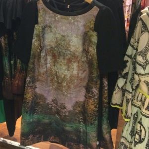 Ted baker dress